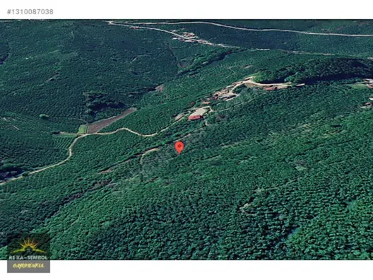 Kocaali/Kestanepınarı'nda 17 Dönüm Satılık Arazi - 8
